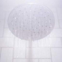 Shower head