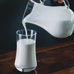 A pitcher of milk.