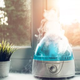 Air humidifier in the home.
