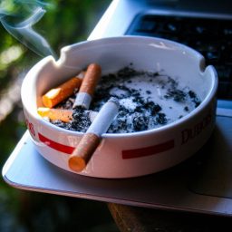an ashtray with cigarettes in it